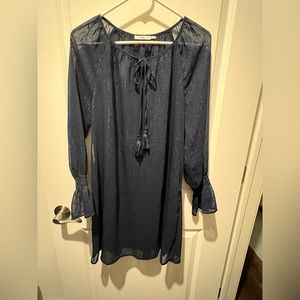 NWT long sleeve shift dress great for holiday parties!